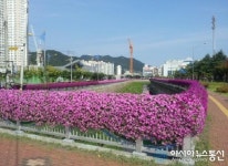 창원시농업기술센터, 시내 곳곳 봄꽃 단장 분주