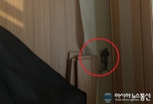 중흥 S클래스 아파트 결로 발생...입주민 원성 높아