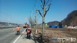 임실군, 쾌적한 가로환경 조성 앞장
