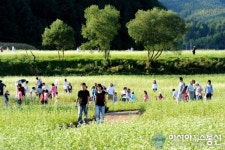 평창군, ‘효석문화예술촌’ 관광콘텐츠 개발 조성사업 박차