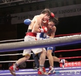 KBF 슈퍼 플라이급 타이틀매치 챔피언 결정전 혈투중인 배요한-김필준