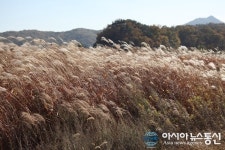 충주 비내섬, 드라마·영화 촬영지 ‘인기’