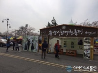 군산시 관광객 볼거리 제공 나서