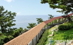 보령 죽도 ‘상화원’, 시민·관광객 대상 개방 확대