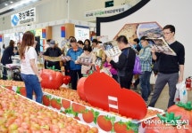 제14회 대구경북국제관광박람회 이벤트 풍성