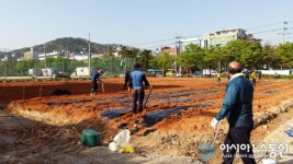 의창구 명곡동, 화물차량 주차장된 공용부지 ‘해바라기동산’ 조성 추진