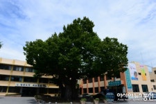 2016 홍성역사인물축제 청사진...분과위원회 간담회 개최