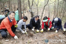 상주 은척 성주봉 한방단지에 곰취나물 심어요