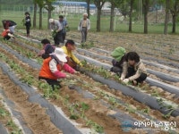 합천 율곡면 영전 수변공원 공한지에 희망을 심다