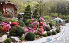 5월5일~8일 전국 국립자연휴양림 무료 입장