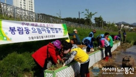 의창구 봉림동, 봉림천 꽃창포 식재로 명품 길 조성
