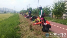 진주시 하대동사무소, 강변둔치에 꽃길 조성·환경 정화활동