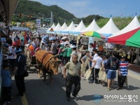 [옥천 지용제] 옥천에는 아직도 소달구지가…