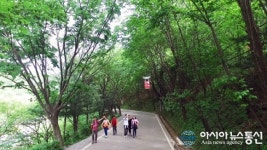 대전지역 산불 발생 지난해 절반… 피해면적 82% 줄어