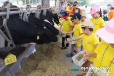 <제3회>2016년 해피버스데이 농업 농촌 현장체험 와우목장에서 실시