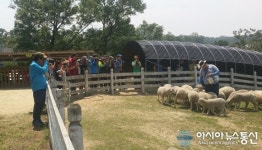 용인시, 파워블로거 초청 관광지 팸투어 실시