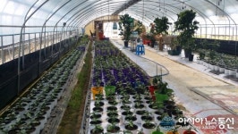 곡성에서 채리커피 한 잔으로 호사 누린다