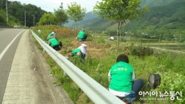 사과로 유명한 산청군 삼장면엔 가로수도 꽃사과나무