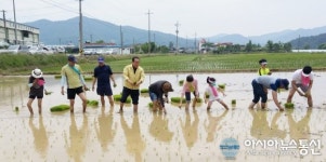 상주서 통일쌀 보내기 손모내기 행사 열려