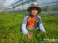 영천시, 전자식 활성수기로 최고품질 채소 생산