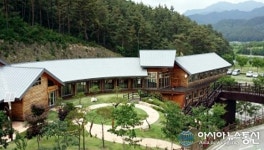 봉화 춘양목에서 힐빙을 만나다