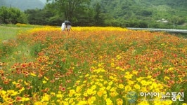 산청군 삼장면 대포숲 관광객 유혹