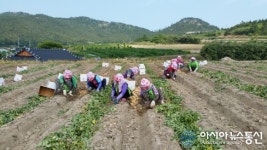 비금농협 농가주부모임 이웃사랑실천 귀감
