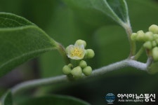 충북의 자연-임용묵의 다큐파일⑫