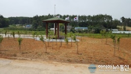 강릉시 박월마을, 강릉 관문 칠성로변 가꾸기 운동
