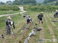 충북대 사회과학대 봉사단, 보은 수한서 농촌 일손돕기