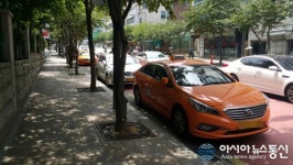 불법 주·정차 택시들로 차 막혀 짜증나네