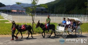 함안군, ‘당나귀 마차체험’ 운영