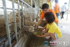 <제14회> 2016해피버스데이 현장체험, 충남 태신목장에서 실시