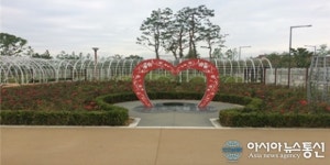 세종시 금강 수변공원이 상큼한 장미꽃으로 물든다