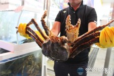 (김성준의 아시아가 만난 맛집) 속초 대게의 완성, 속초맛집 대포대게회직판장