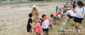 보령시, 캠핑-레포츠하기 좋은 농촌 관광코스 10선 선정