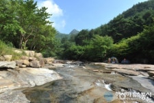곡성은 피서지 천국! 시원한 여름 보내세요!