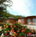 순천 개랭이 고들빼기 권역 6차산업 선두주자