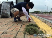 고양시 덕양구, 잡초제거작업 실시