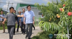 이낙연지사, 순천 월등 복숭아 재배단지 살펴