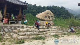 합천 가야면 소리길 환경정화