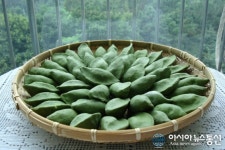 영광군, 영광모싯잎송편 지역경제 활성화 ‘효자상품’