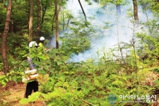 성산구, 솔수염하늘소 구제 위한 연막방제 29일 마무리