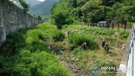 성산구, 하천 풀베기 등 환경정비 ‘구슬땀’