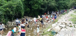 봉화 가재예술제...환경도 보호하고 더위도 씻고