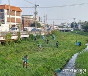 (포토)충주 지현새마을협의회 “쾌적한 충주천을 위해”