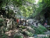 부산 대천천, ‘물놀이 안전 명소’ 후보 선정