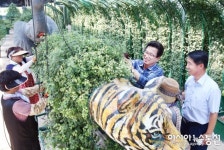 허태정 유성구청장, 국화 양묘장 격려 방문