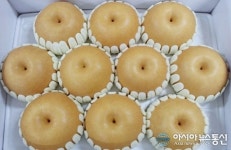 세종시, 복숭아 이어 배도 대만으로 첫 수출길 올라