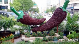 서울시청 광장에 등장한 영양고추 테마동산...포토죤 각광